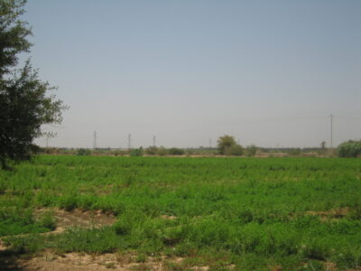 https://www.immotaroudant.com/bien/vente-terrain-a-taroudant-t12495/