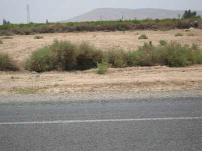 https://www.immotaroudant.com/bien/vente-terrain-a-taroudant-t12496/