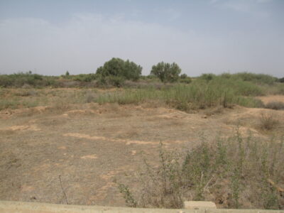 https://www.immotaroudant.com/bien/vente-terrain-a-taroudant-t12497/