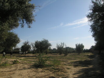https://www.immotaroudant.com/bien/vente-terrain-taroudant-t12518/