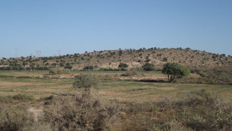 https://www.immotaroudant.com/bien/terrain-taroudant-a-vendre-t12525/