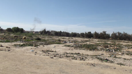 https://www.immotaroudant.com/bien/vente-terrain-taroudant-t12529/