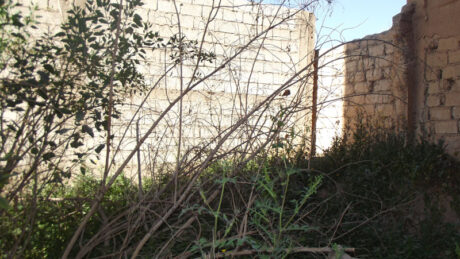 https://www.immotaroudant.com/bien/terrain-taroudant-a-vendre-t12530/
