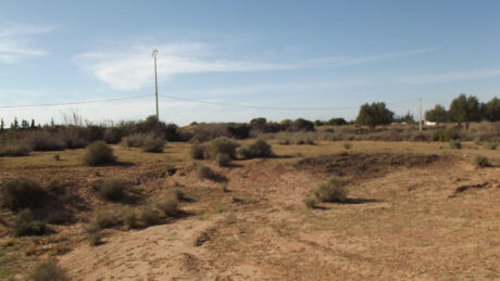 https://www.immotaroudant.com/bien/vente-terrain-taroudant-t12543/
