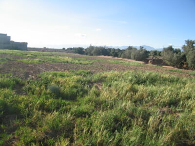 https://www.immotaroudant.com/bien/vente-terrain-a-taroudant-t12567/