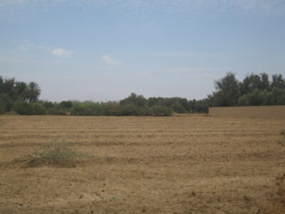 https://www.immotaroudant.com/bien/terrain-taroudant-a-vendre-t12611/