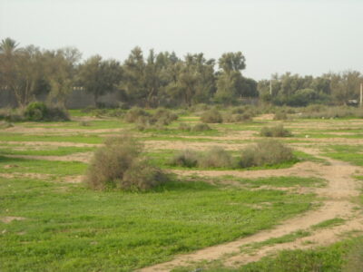 https://www.immotaroudant.com/bien/terrain-a-taroudant-t13326/