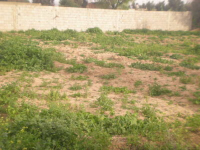 https://www.immotaroudant.com/bien/terrain-a-vendre-a-taroudant-maroc-t13348/