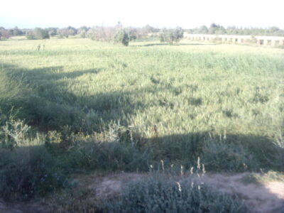 https://www.immotaroudant.com/bien/terrain-a-vendre-a-taroudant-maroc-t13369/