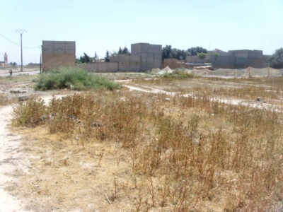 https://www.immotaroudant.com/bien/terrain-a-vendre-a-taroudant-maroc-t13400/
