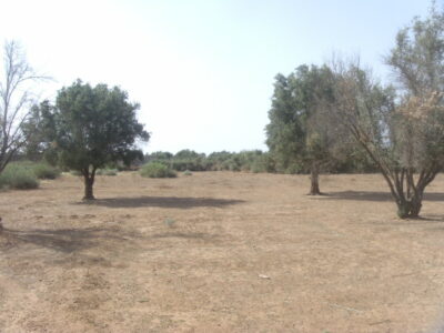 https://www.immotaroudant.com/bien/terrain-a-taroudant-t13511/