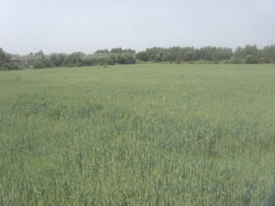 https://www.immotaroudant.com/bien/terrain-a-vendre-a-taroudant-t13746/