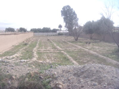 https://www.immotaroudant.com/bien/terrain-a-vendre-a-taroudant-titre-t13766/