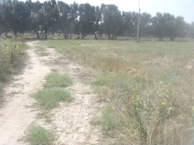 https://www.immotaroudant.com/bien/vente-terrain-a-taroudant-t13835/