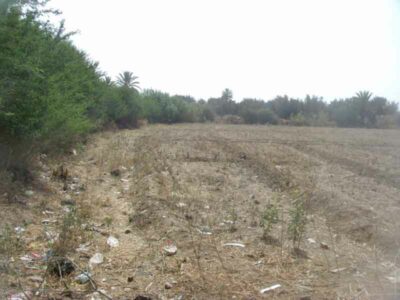 https://www.immotaroudant.com/bien/vente-terrain-a-taroudant-t13883/