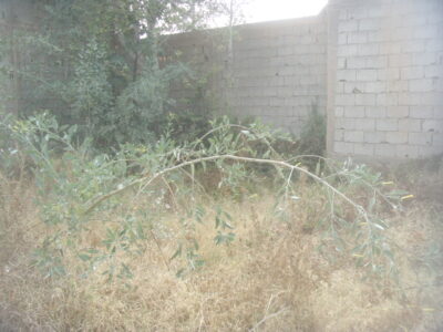 https://www.immotaroudant.com/bien/vente-terrain-taroudant-t13926/