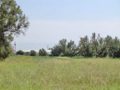 https://www.immotaroudant.com/bien/vente-terrain-a-taroudant-t14007/