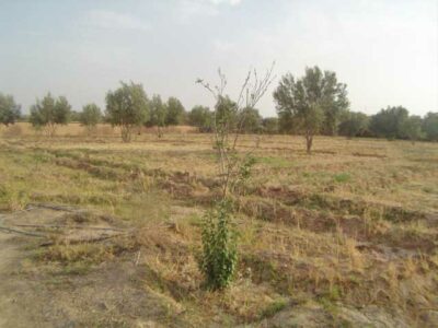 https://www.immotaroudant.com/bien/vente-terrain-titre-taroudant-t14066/