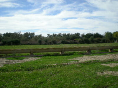 https://www.immotaroudant.com/bien/terrain-a-vendre-a-taroudant-maroc-t14170/
