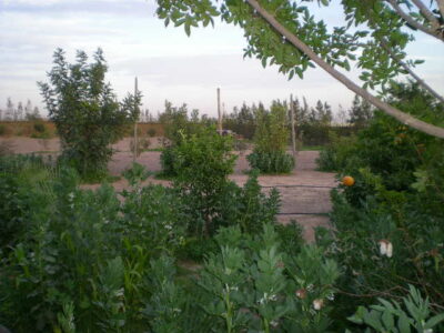 https://www.immotaroudant.com/bien/terrain-a-vendre-a-taroudant-maroc-t14171/