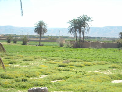 https://www.immotaroudant.com/bien/terrain-a-vendre-a-taroudant-maroc-t14174/