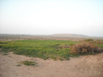 https://www.immotaroudant.com/bien/terrain-a-vendre-a-taroudant-maroc-t14181/