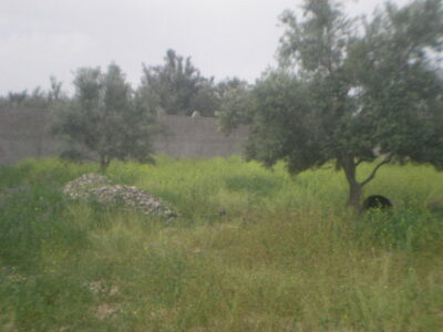 https://www.immotaroudant.com/bien/terrain-a-vendre-a-taroudant-maroc-t14190/