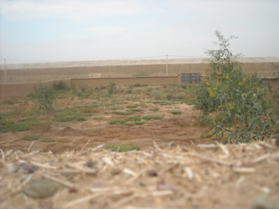 https://www.immotaroudant.com/bien/terrain-a-vendre-a-taroudant-maroc-t14199/