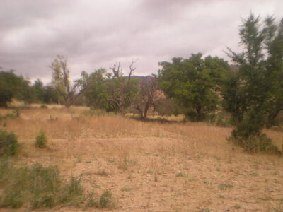 https://www.immotaroudant.com/bien/terrain-a-vendre-a-taroudant-maroc-t14200/