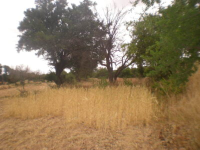 https://www.immotaroudant.com/bien/terrain-a-vendre-a-taroudant-maroc-t14203/
