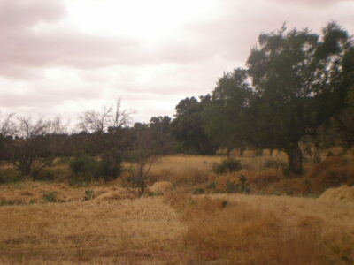 https://www.immotaroudant.com/bien/terrain-a-vendre-a-taroudant-maroc-t14204/