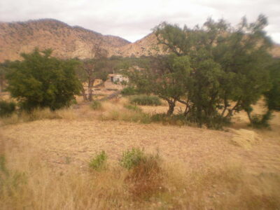 https://www.immotaroudant.com/bien/terrain-a-vendre-a-taroudant-maroc-t14205/