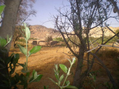 https://www.immotaroudant.com/bien/terrain-a-vendre-a-taroudant-maroc-t14206/