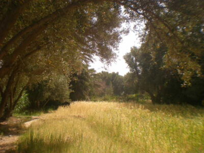 https://www.immotaroudant.com/bien/terrain-a-vendre-a-taroudant-maroc-t14209/