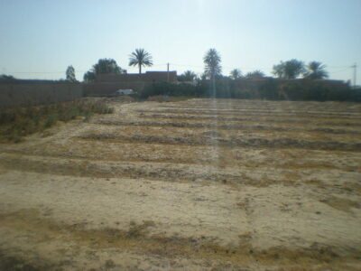 https://www.immotaroudant.com/bien/terrain-a-vendre-a-taroudant-maroc-t14210/