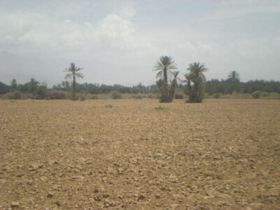 https://www.immotaroudant.com/bien/terrain-a-vendre-a-taroudant-maroc-t14214/
