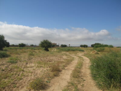 https://www.immotaroudant.com/bien/vente-terrain-titre-a-taroudant-t12581/