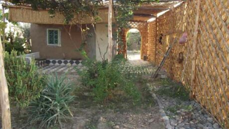 https://www.immotaroudant.com/bien/garconniereterrain-titre-a-vendre-t13947/