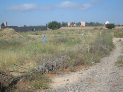 https://www.immotaroudant.com/bien/vente-terrain-titre-a-taroudant-t12582/