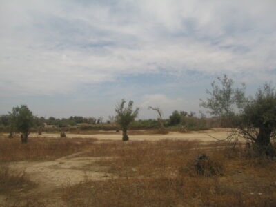 https://www.immotaroudant.com/bien/vente-terrain-a-taroudant-maroc-t12614/