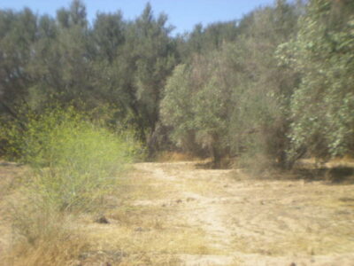 https://www.immotaroudant.com/bien/terrain-a-vendre-a-taroudant-maroc-t14216/