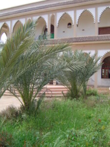 https://www.immotaroudant.com/bien/villaferme-a-vendre-a-taroudant-v10006/
