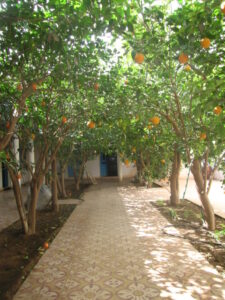 https://www.immotaroudant.com/bien/vente-villa-a-taroudant-v12637/