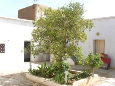 https://www.immotaroudant.com/bien/vente-maison-taroudant-m13299/