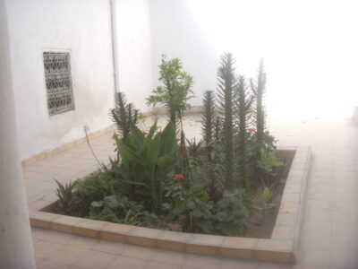https://www.immotaroudant.com/bien/vente-maison-taroudant-m13672/