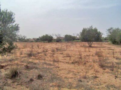 https://www.immotaroudant.com/bien/vente-terrain-titre-taroudant-t14002/