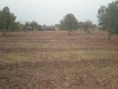 https://www.immotaroudant.com/bien/terrain-vendre-taroudant-t14117/