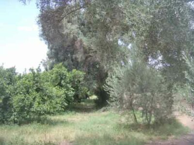 https://www.immotaroudant.com/bien/ferme-taroudant-f13551/