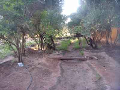 https://www.immotaroudant.com/bien/ferme-a-vendre-a-taroudant-f13634/