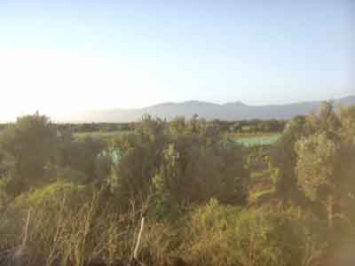 https://www.immotaroudant.com/bien/ferme-a-vendre-a-taroudant-f13691/